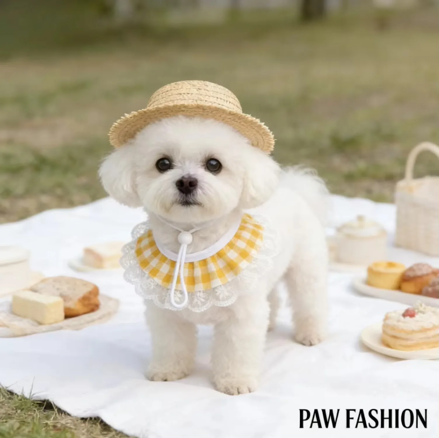 Cute Pet Straw Hat with Lace P - đánh giá và giá Straw Hat Summer