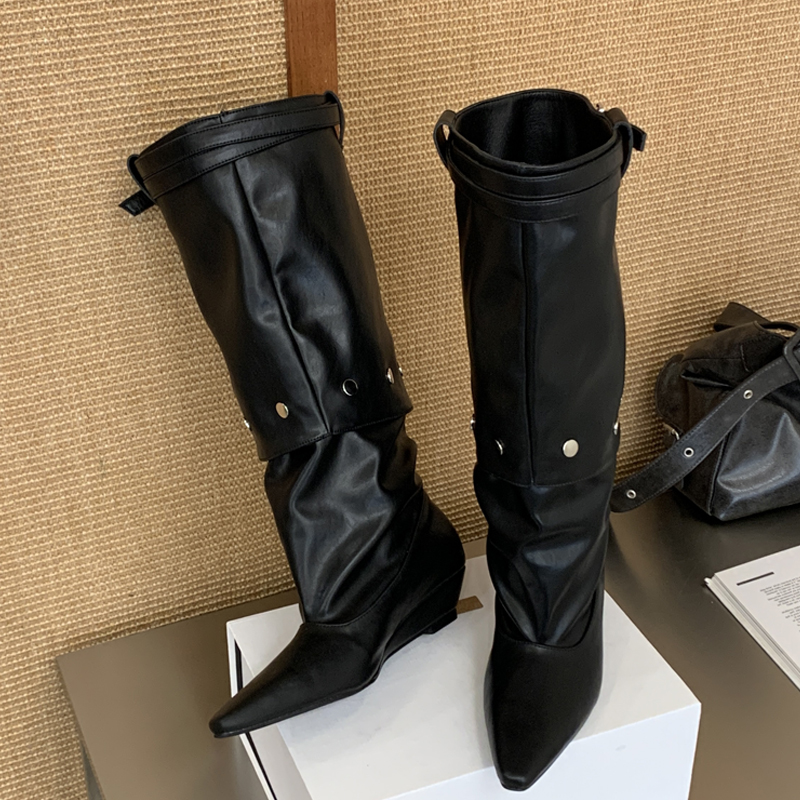 Eilyken New Fashion Pointed To - đánh giá và giá Winter Fashion Women Boots