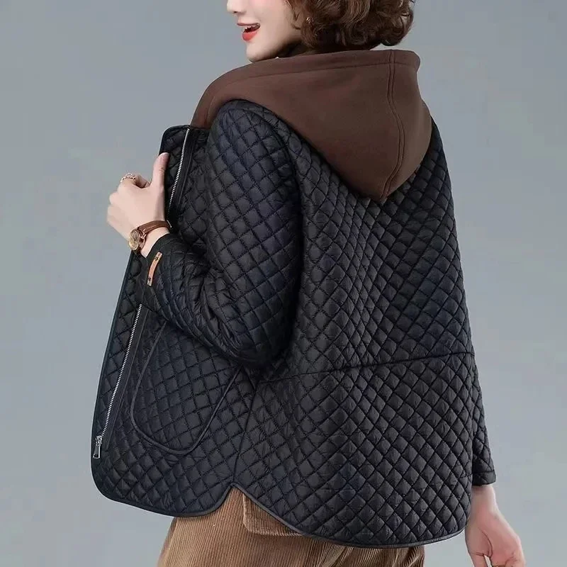 Fashion Lightweight Cotton-Pad - đánh giá và giá Women'S Fashion Parka